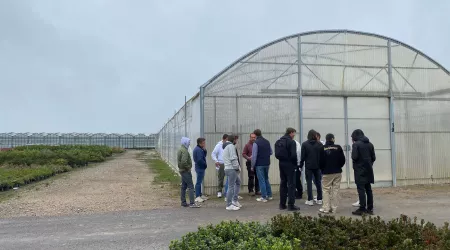 Visite des Pépinières Cavaliers