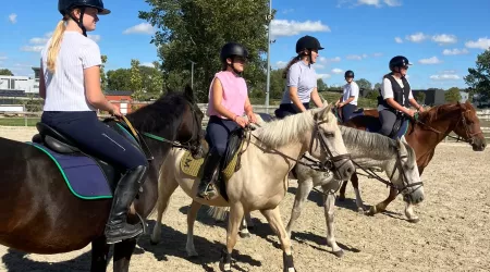 🐴 Nouveauté pour cette année !