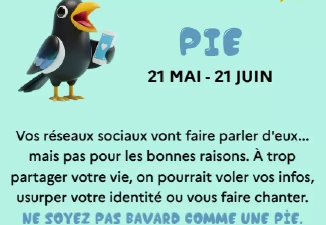 « Se Cyber Protéger, ce n’est pas si bête »